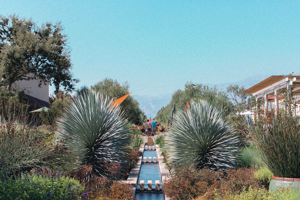 A walkway surrounded by gardens and people walking in the foreground. Building in the background show the entrance to a botanical garden.